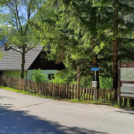 By The Emerald River * Soča